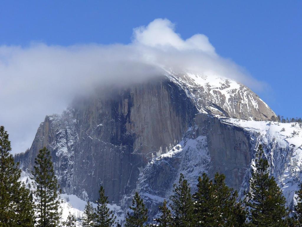 Yosemite Sierra View Bed & Breakfast Oakhurst Extérieur photo